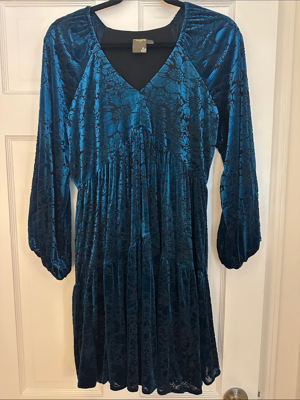 Taylor Teal Floral Burnout Velvet V-Neck Long Sleeve Dress